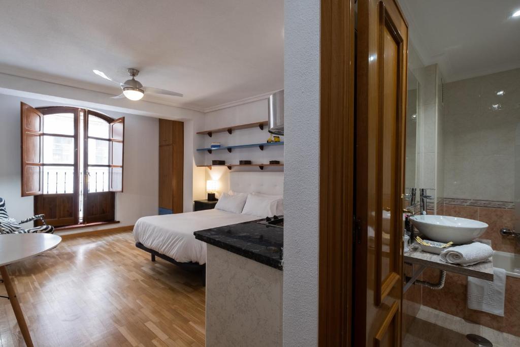 Estudio en la calle mas bonita de salamanca - 10