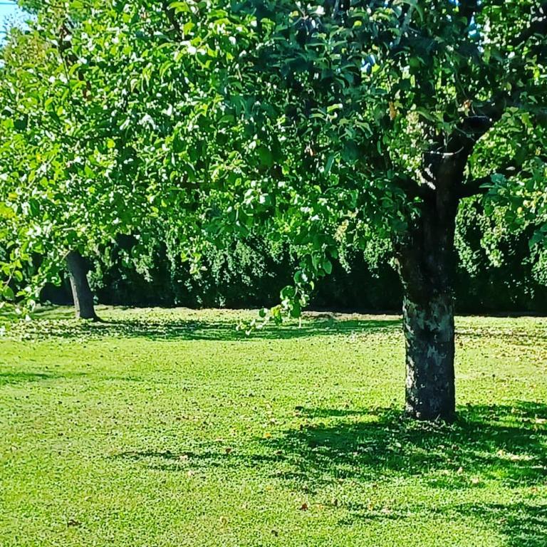Zahrada ubytování Ferienwohnung Schaller