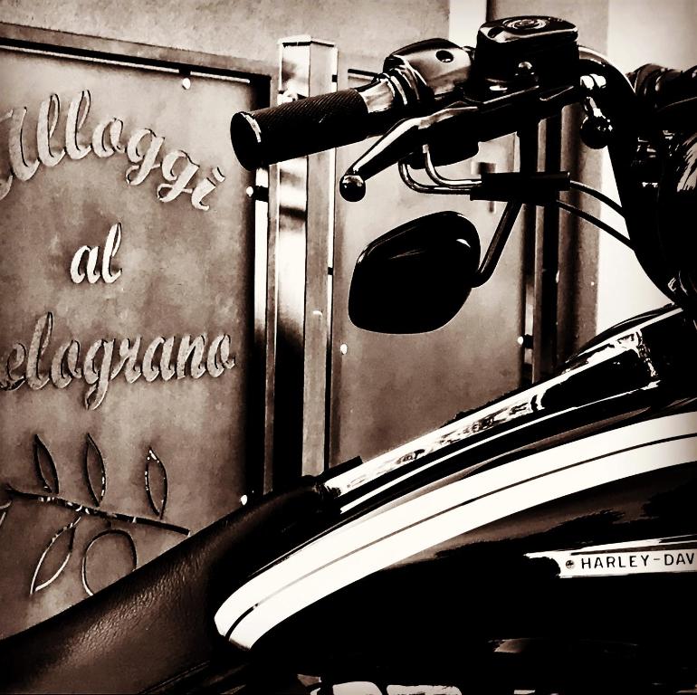 Alloggi Al Melograno - 16