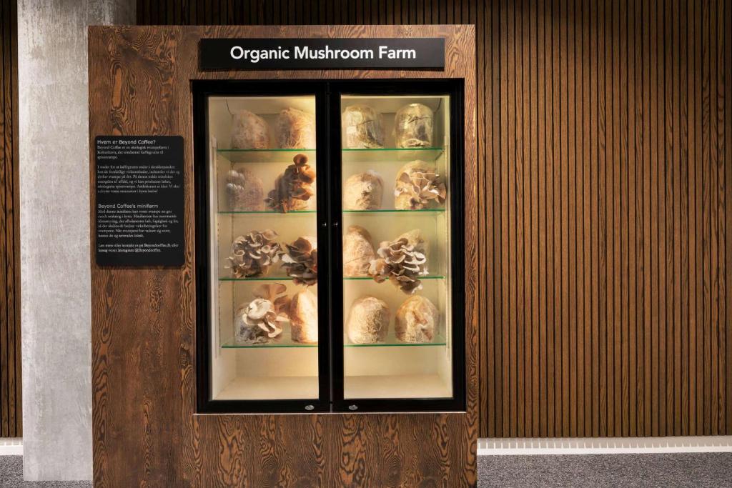 Comwell Copenhagen Portside Dolce by Wyndham - Resim 13