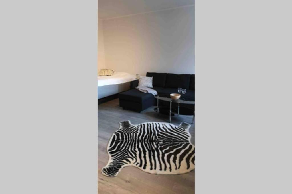 a zebra laying on the floor of a room at Cosy studio near by AirPort, 2min from train! in Vantaa