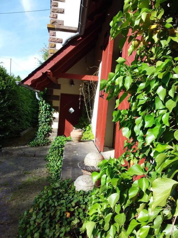 a building with a red door and some plants at Ferienbahnhof Utzerath in Utzerath