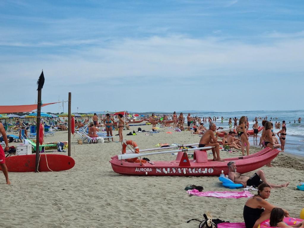 Goście zatrzymujący się w obiekcie Chalet 4 or 6 persons Toscana Viareggio Camping Bosco Verde Italië