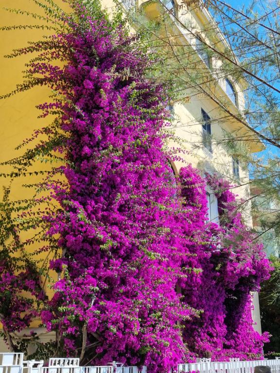 Ogród w obiekcie Chalet 4 or 6 persons Toscana Viareggio Camping Bosco Verde Italië