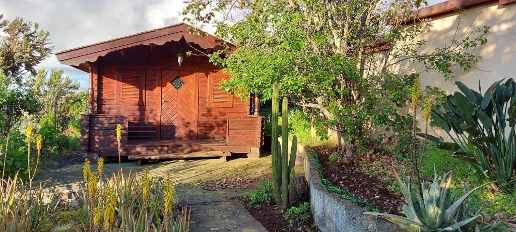 Vonkajšia záhrada v ubytovaní Casa Canarina