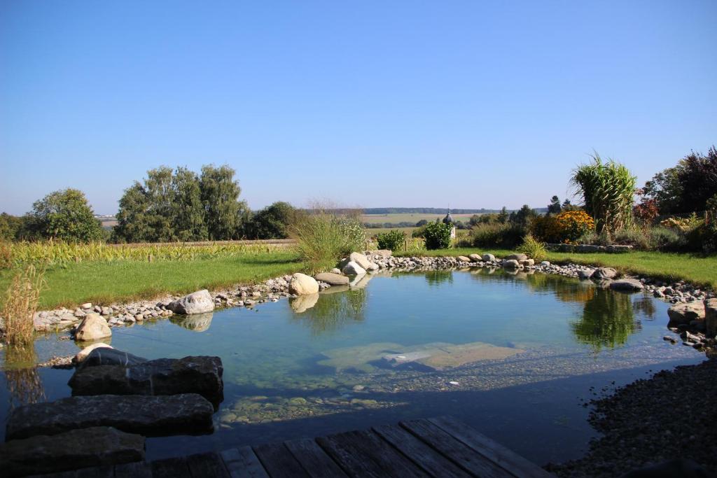 a pond with rocks in the middle of a field at Klosterblick in Inzigkofen