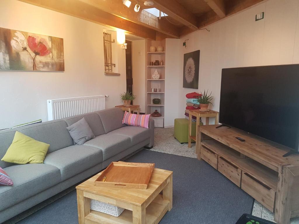 ein Wohnzimmer mit einem Sofa und einem Flachbild-TV in der Unterkunft Ruime, gezellige vakantiewoning nabij Winterberg voor 2 tot 6 rustige natuurliefhebbers in Schmallenberg