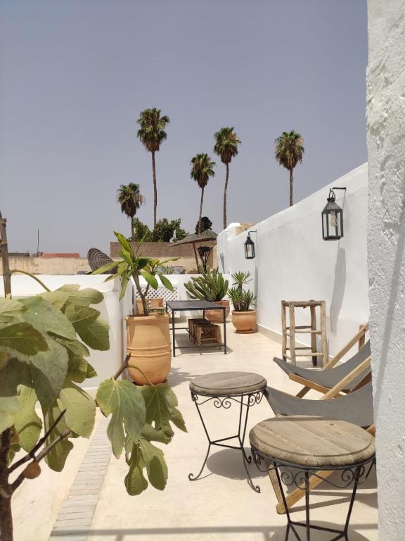 Riad Darsahalia — photo 7