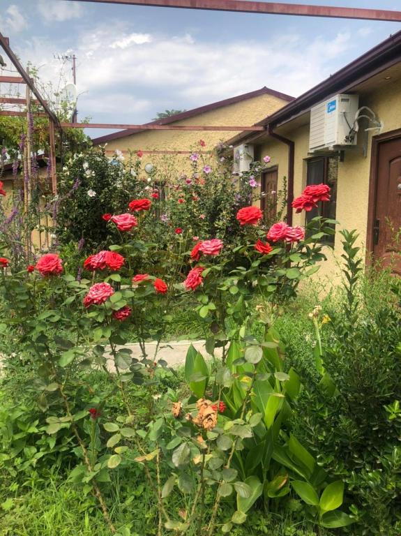 Zahrada ubytování Hotel Villa Eniseli