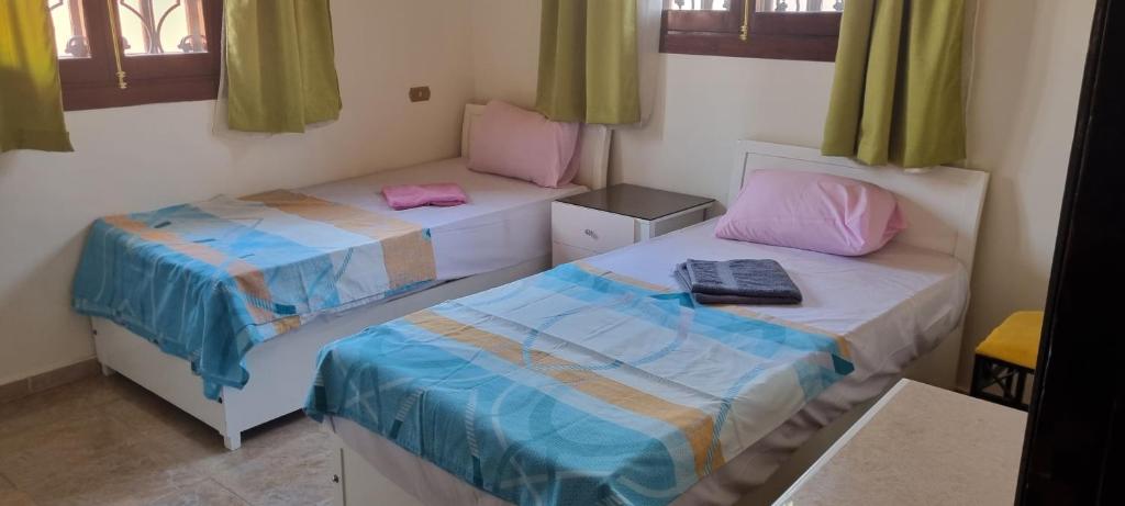 DREAM ISLAND Hotel - 10