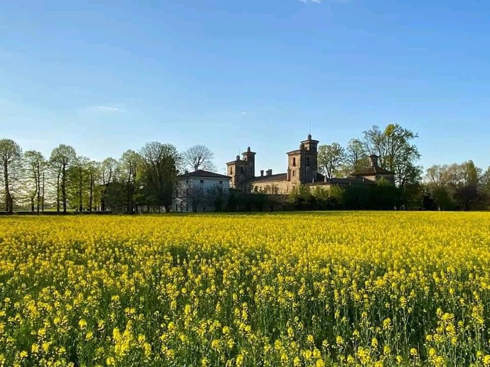 a field of yellow flowers with a castle in the background at Ostello Castello Mina Della Scala in Casteldidone