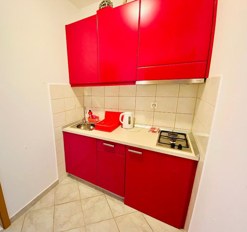 Kuhinja ili čajna kuhinja u objektu Guest House Ruža