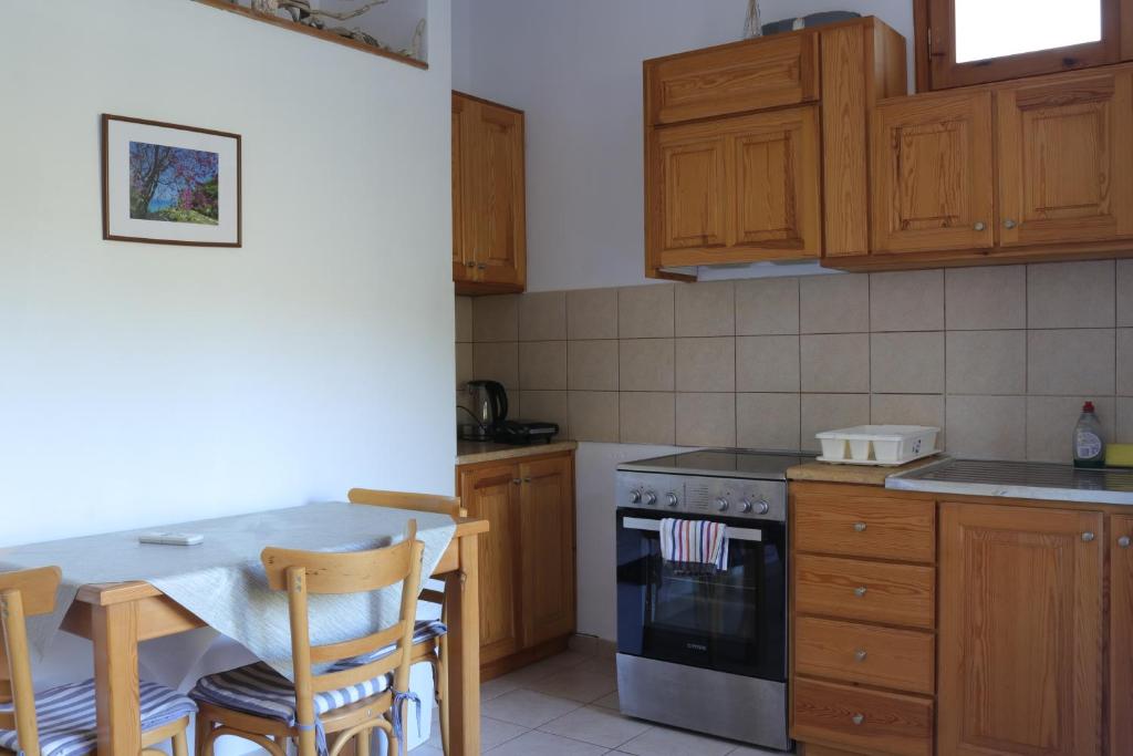 Kuchyň nebo kuchyňský kout v ubytování Villa Milia