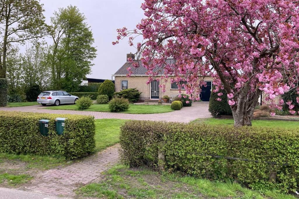 een huis met een auto geparkeerd voor een boom met roze bloemen bij Tsjûke en March, Gezellig vakantie verblijf. in Echten