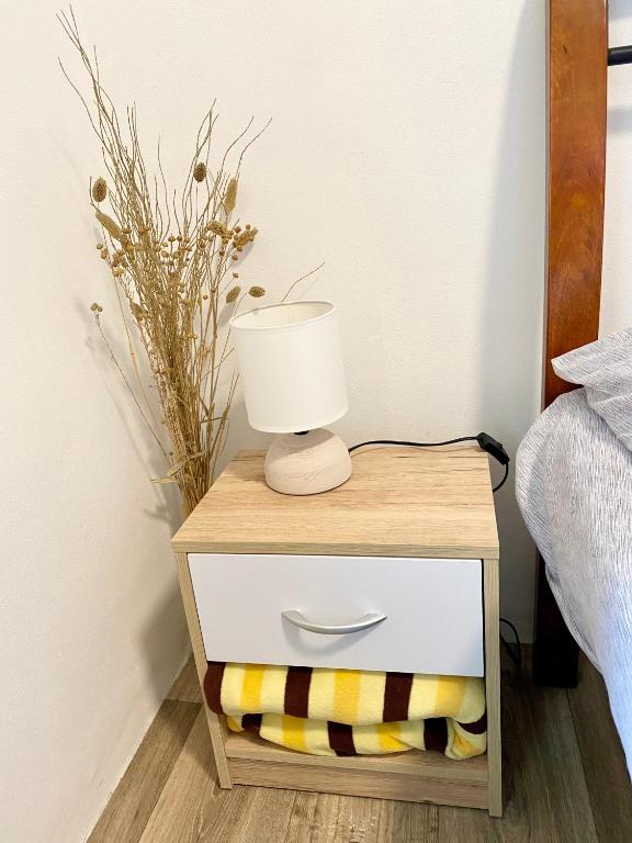 Postel nebo postele na pokoji v ubytování Private apartment - Park Olomouc - super lokalita