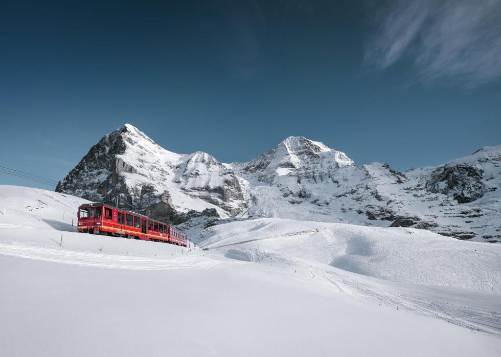 Hotel Silberhorn - Residences & Spa Wengen v zimě