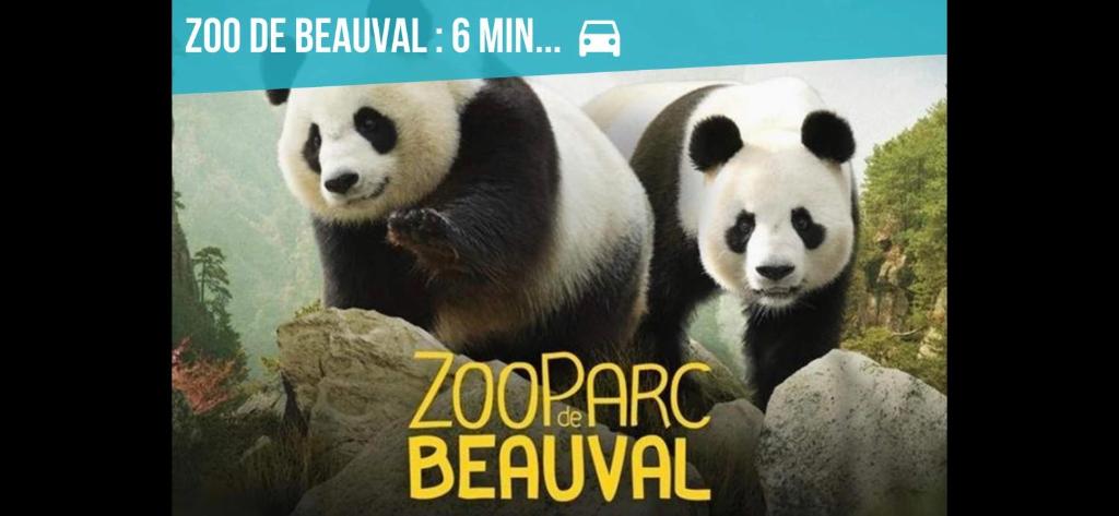 Zooparc de Beauval (à 30 min du gîte)