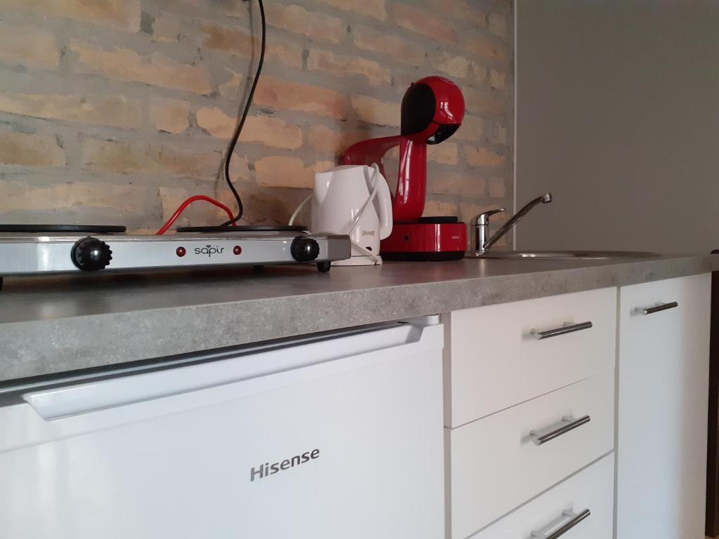 Kuchyň nebo kuchyňský kout v ubytování Flora Novi Sad