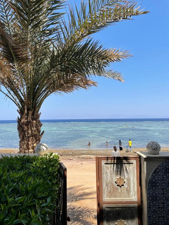 a palm tree on the beach with people in the water at Ganesha.Beach apartment in Dahab