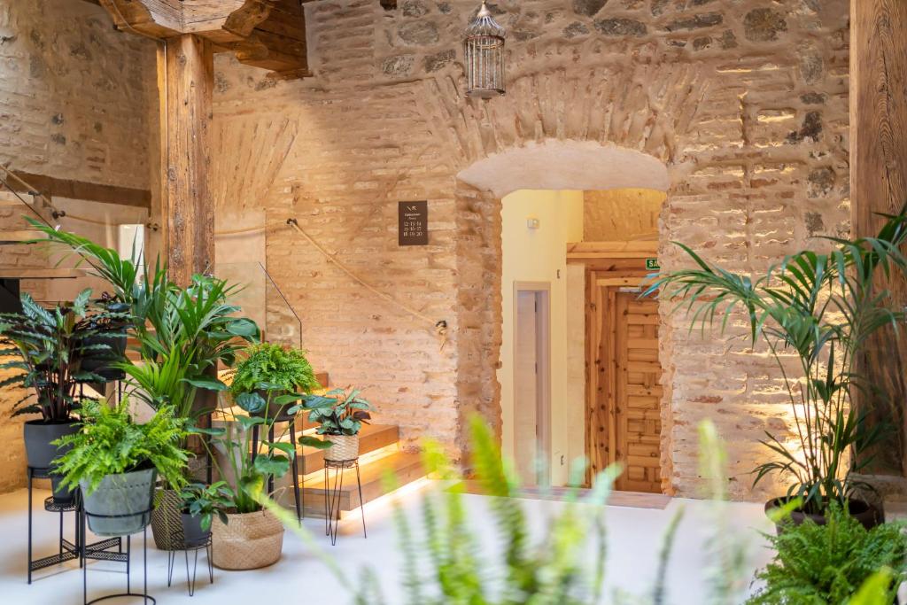 Fotografie z fotogalerie ubytování Dobo Azacanes Hostal v destinaci Toledo