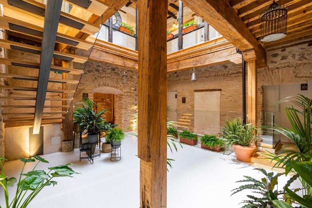 Zahrada ubytování Dobo Azacanes Hostal