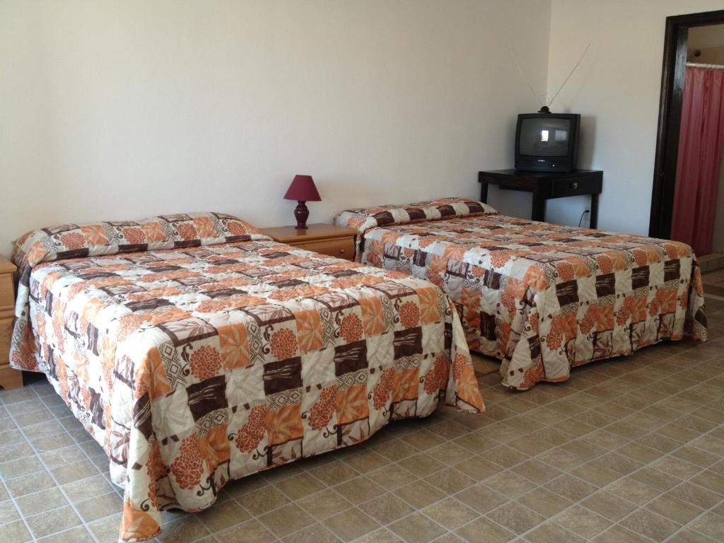 Whale Hill - Apartamento De 1 Dormitorio (6 Adultos)