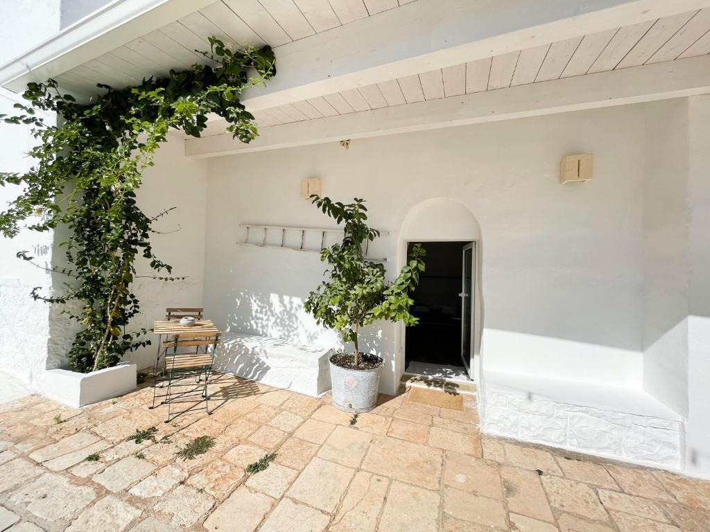 Patio nebo venkovní prostory v ubytování Trullo San Vincenzo con Piscina