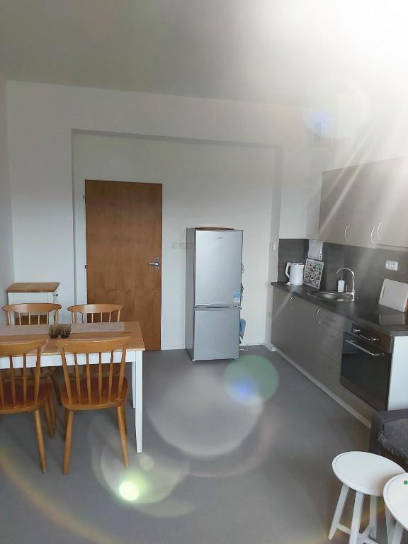 Kuchyň nebo kuchyňský kout v ubytování Apartmán Tony Slapy