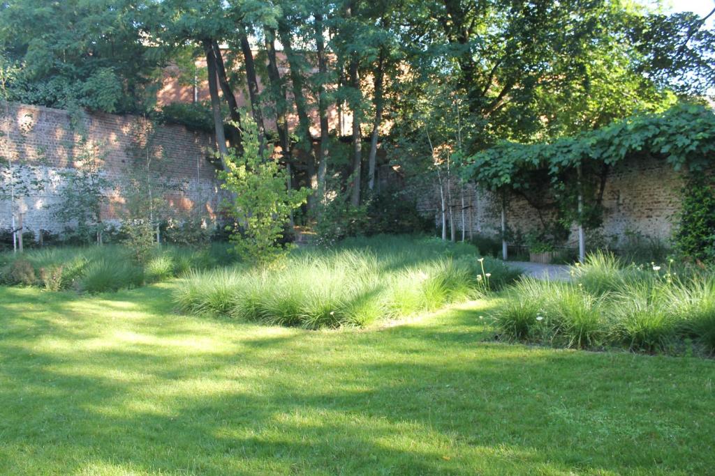 Zahrada ubytování Canopée guesthouse