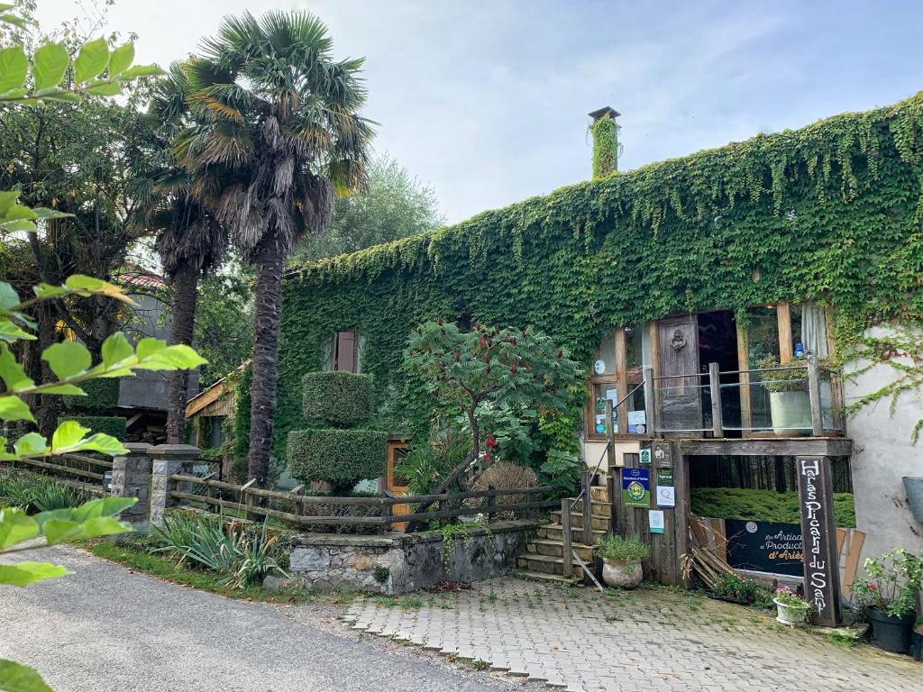 a house covered in ivy with a palm tree next to it at Haras Picard du Sant in Lasserre