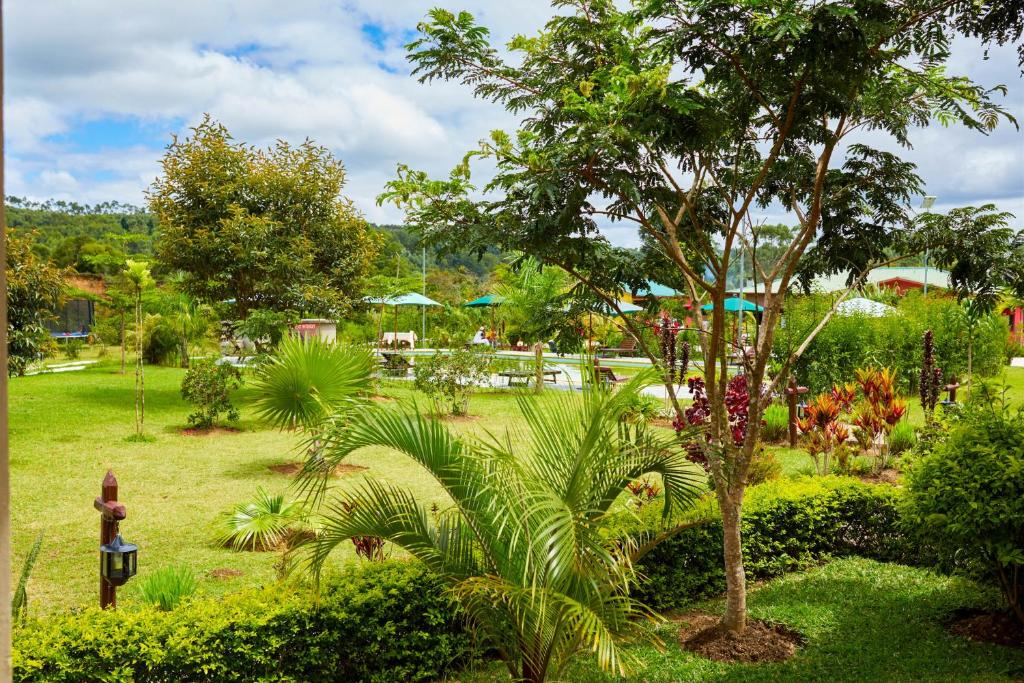 a park with a tree and some bushes and trees at Andasibe Lemurs Lodge in Andasibe