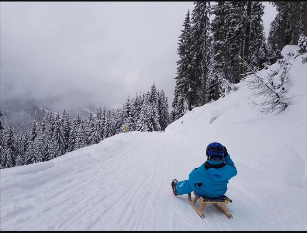 Lieblingsplatz - Ski in und Ski out v zime