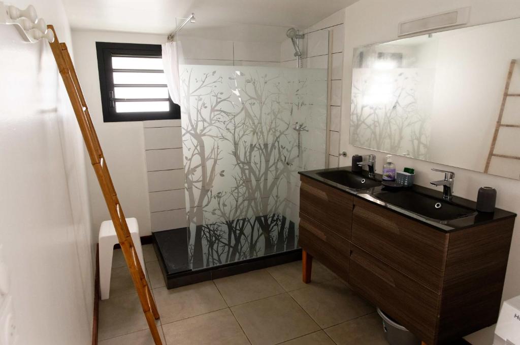 a bathroom with a sink and a shower at Gîte TI KAZ MORINGA, Charmante case créole à St Louis in Saint-Louis