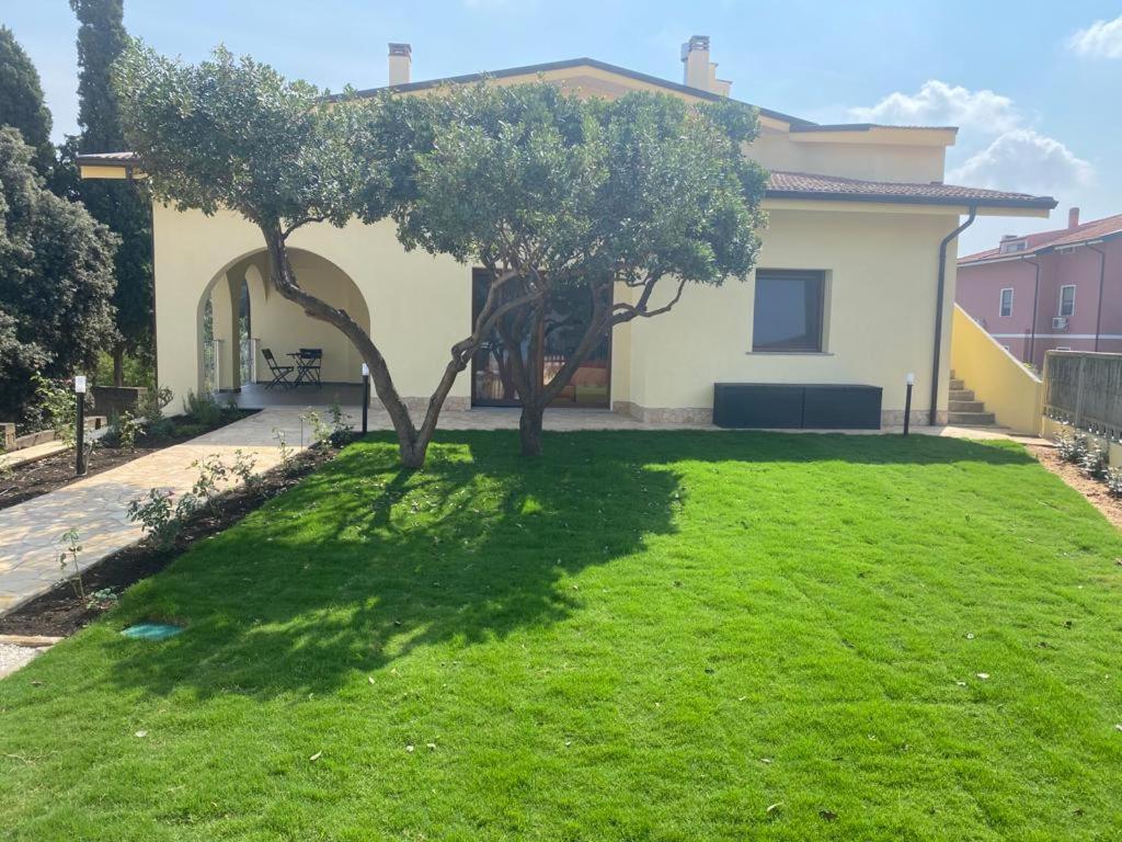 a yard with two trees and a house at B&B Il Sogno di Mario in Carbonia