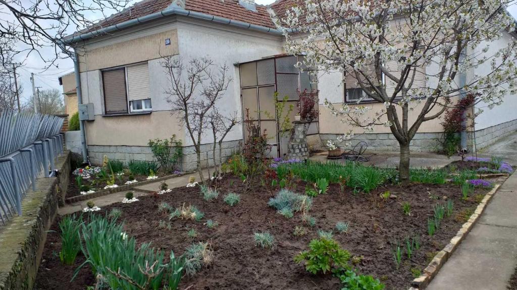 un jardin en face d'une maison dans l'établissement Vila Elena, à Kikinda