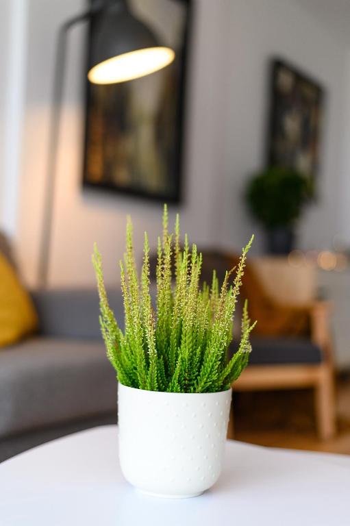 NorthApartments - Resim 24