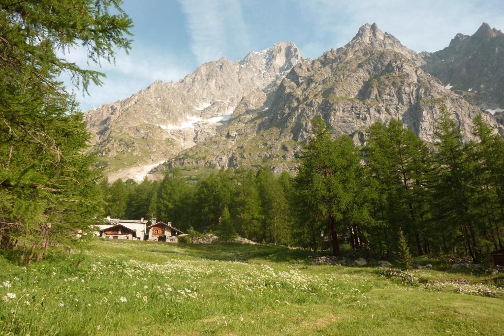 a house in a field with mountains in the background at Chalet Berlot in Courmayeur