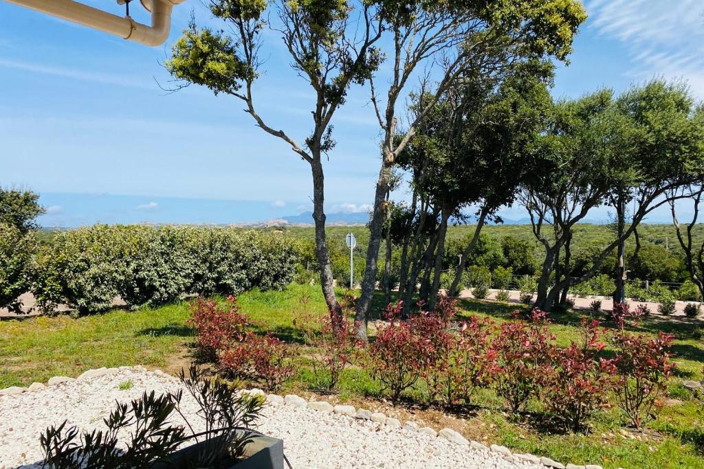 a view of a garden with trees and flowers at Location villa 2 chambres A Lavanda piscine Bonifacio in Bonifacio