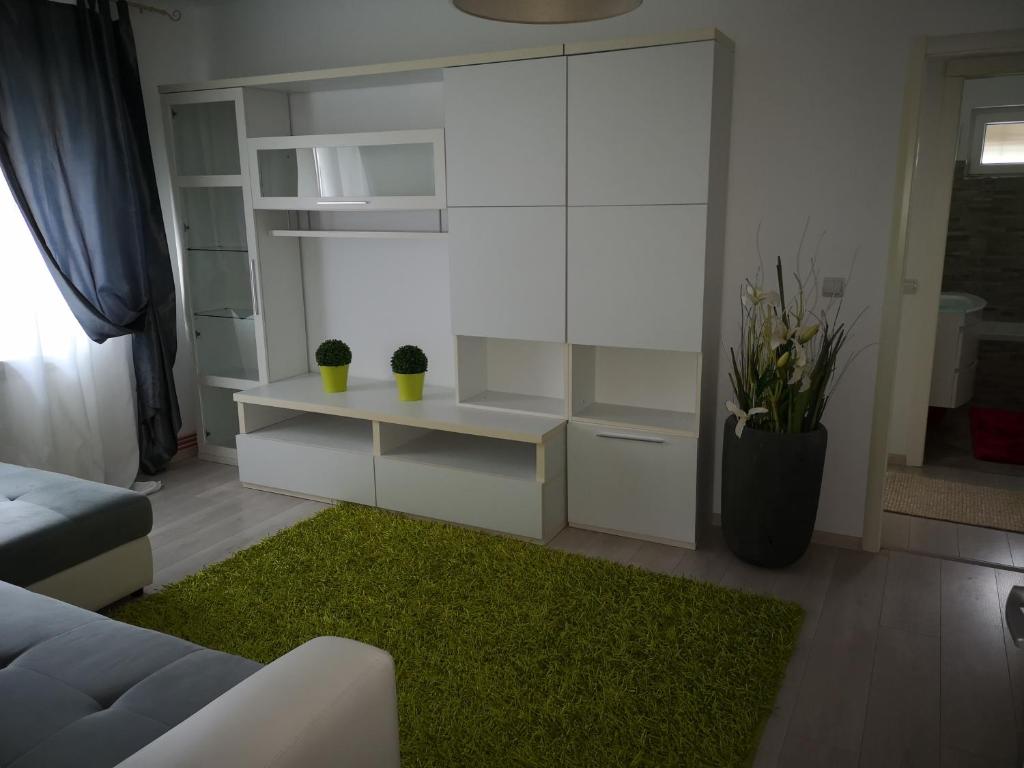 sala de estar con sofá blanco y alfombra verde en Apartament Darius, en Târgu Ocna