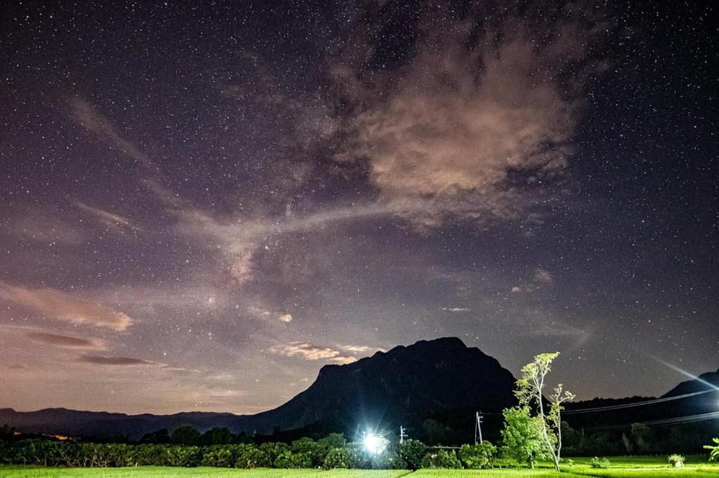 Krathom Doi Luang Chiang Dao Updated 22 Prices