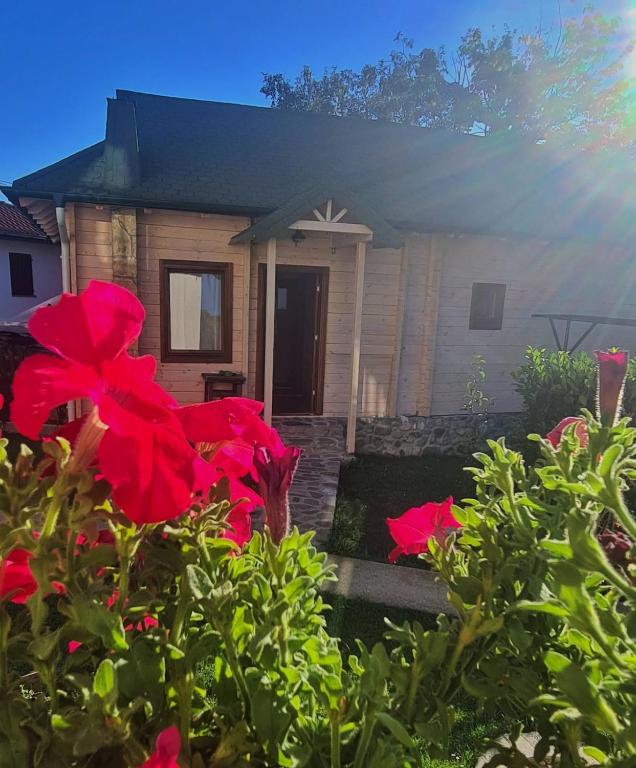 Rooms and apartmants Mirovic - 15