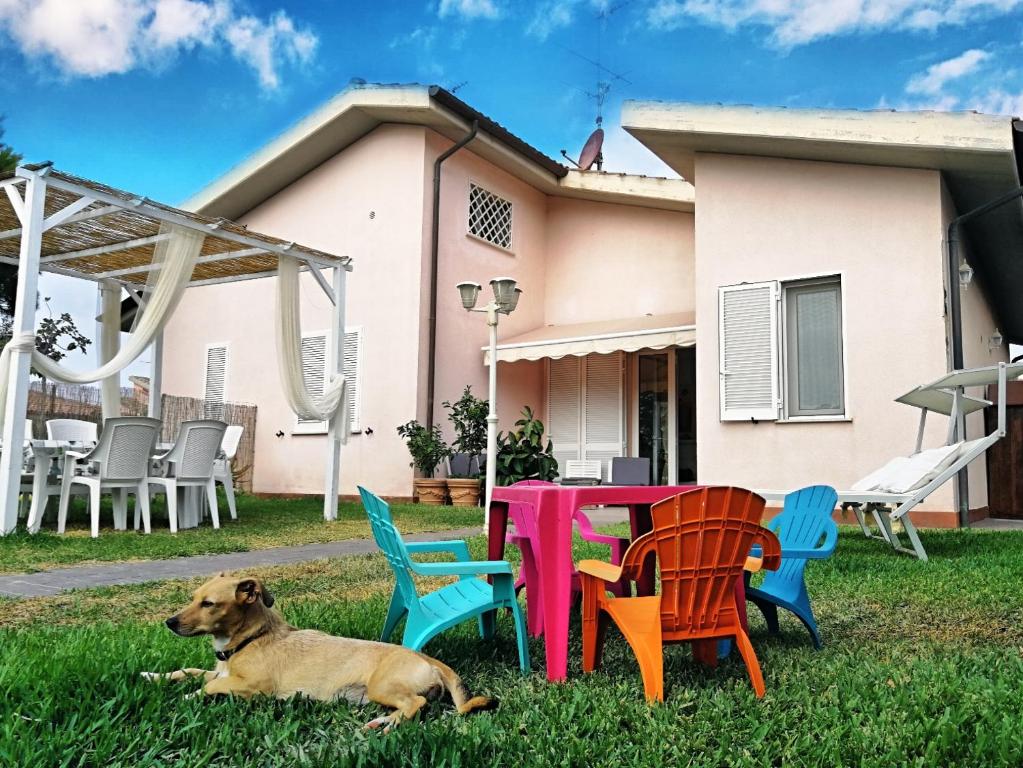 a dog laying in the grass next to a table and chairs at La Meria di Maria Villa Rosa in Grosseto