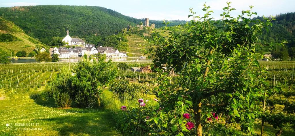 a view of a vineyard with a village on a hill at Ferienwohnung Probst in Ellenz-Poltersdorf