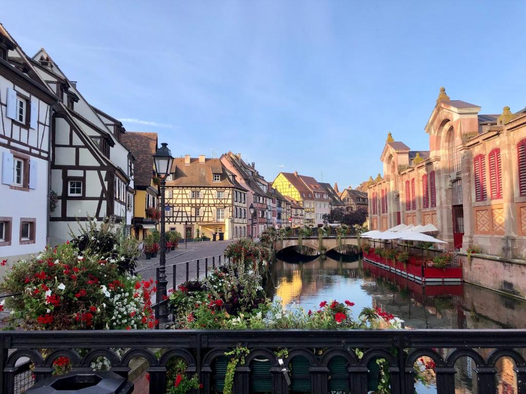 Gîtes La Petite Venise Colmar – photo 12