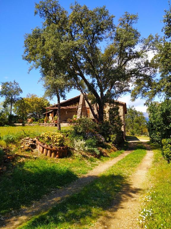 a dirt road in front of a house with a tree at La Simona Casa Rural in Perales del Puerto