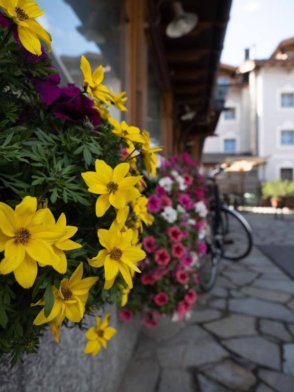 Fotografie z fotogalerie ubytování Albergo Alpenrose v Livignu