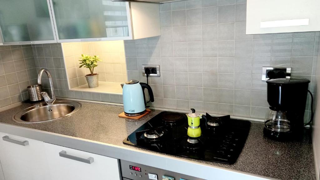 Kuchnia lub aneks kuchenny w obiekcie Apartment Punta