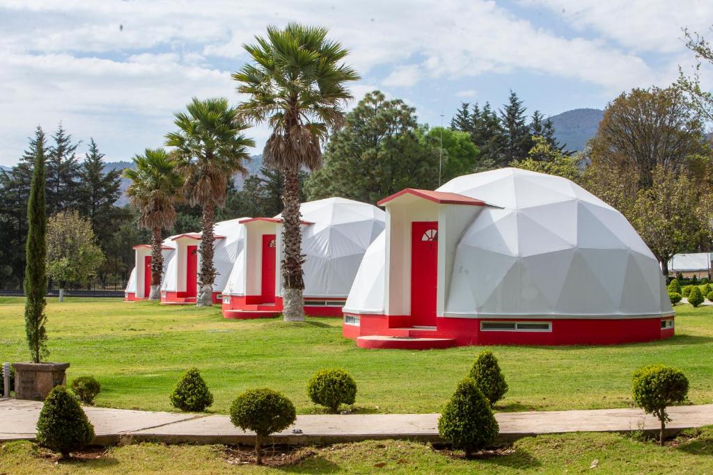 une rangée de tentes en forme de dôme dans un champ planté de palmiers dans l'établissement Hotel & Glamping Huasca Sierra Verde, à Huasca de Ocampo