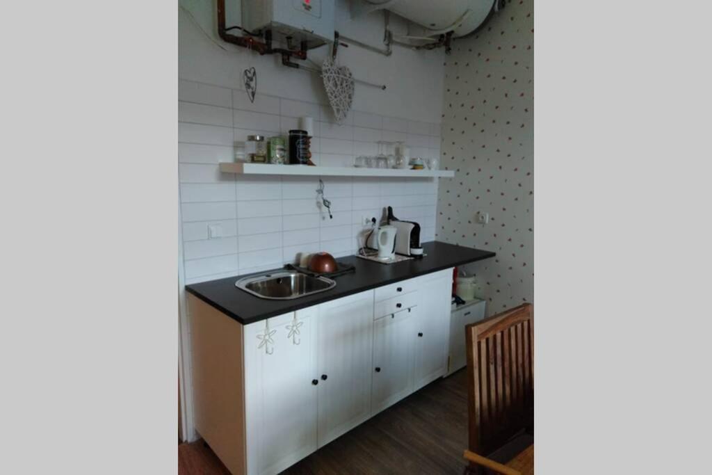 Kuchyň nebo kuchyňský kout v ubytování Stylový apartmán v centru Náchoda