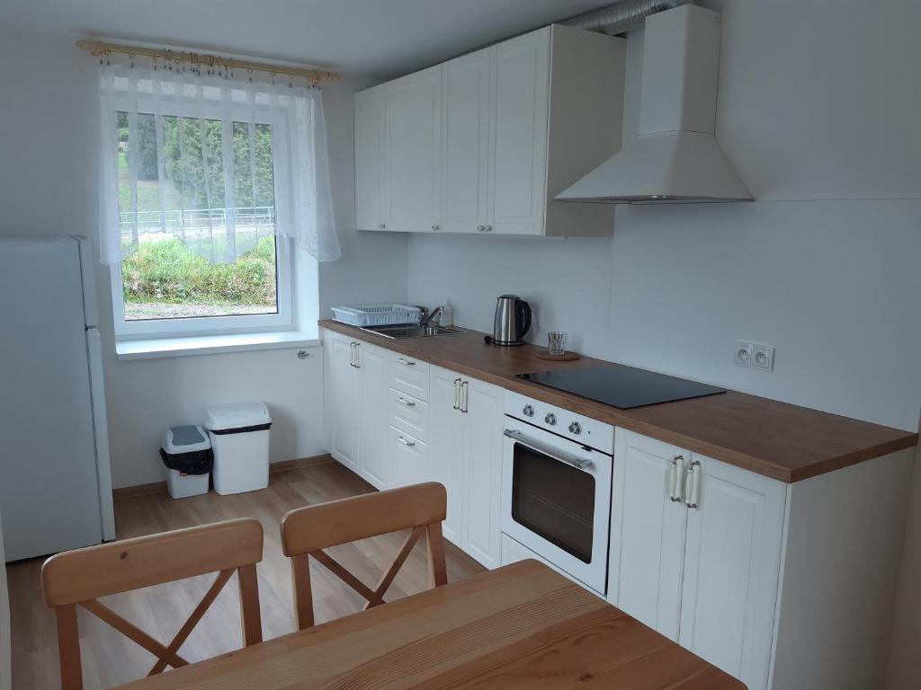 Kuchyň nebo kuchyňský kout v ubytování Apartmány U Zvoničky